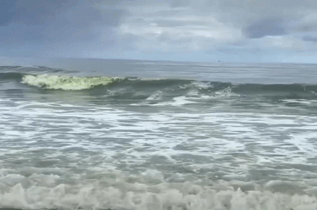 Rõ nguyên nhân nước biển Vũng Tàu 'xanh như matcha'