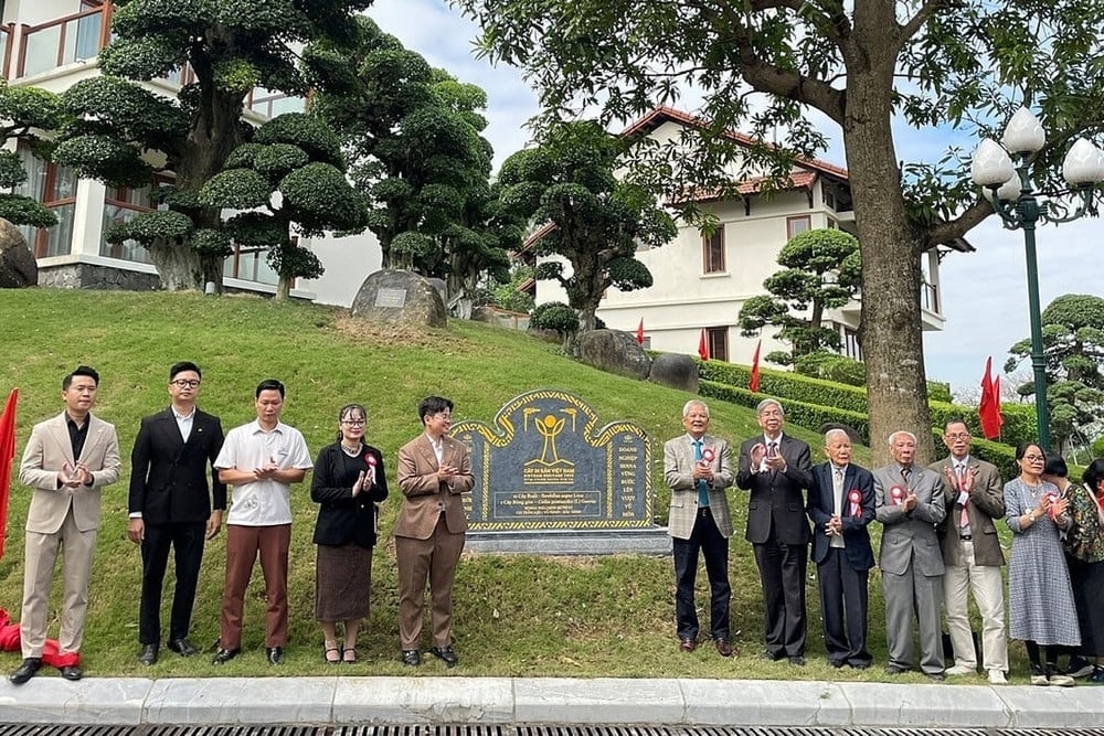 Công nhận 12 cây cổ thụ là cây di sản Việt Nam tại Bắc Ninh