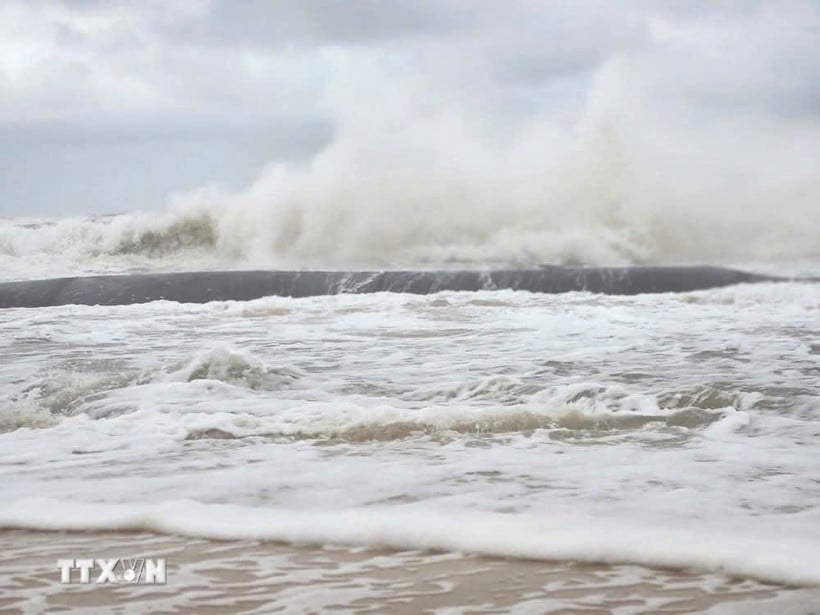 Các tỉnh từ Quảng Trị đến An Giang cần chủ động ứng phó với áp thấp nhiệt đới