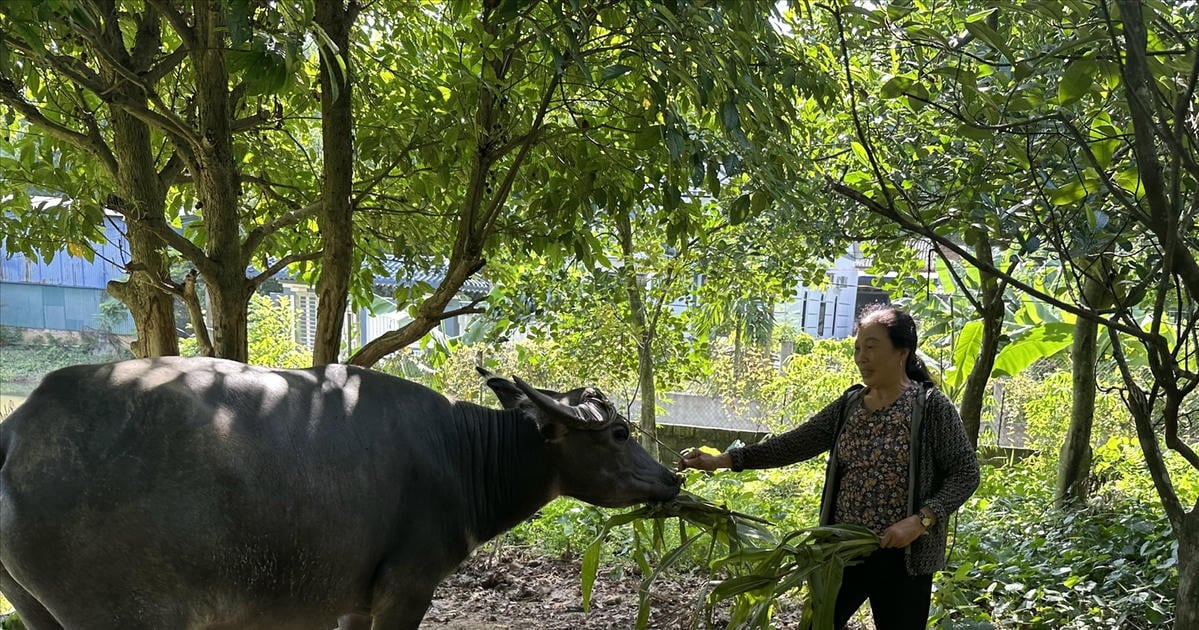 Nguồn lực đồng bộ tạo chuyển biến mạnh trong giảm nghèo Thái Nguyên