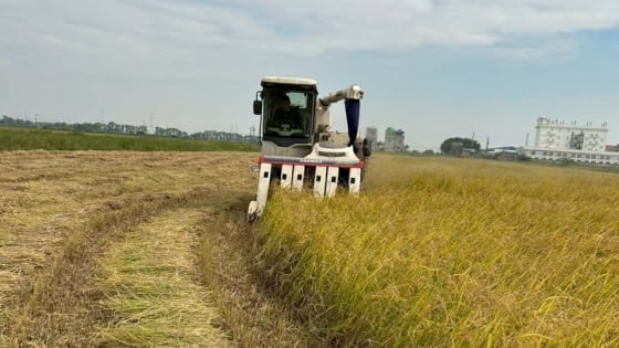 Hợp tác xã Nam Thành: Điển hình đổi mới vì nông nghiệp xanh