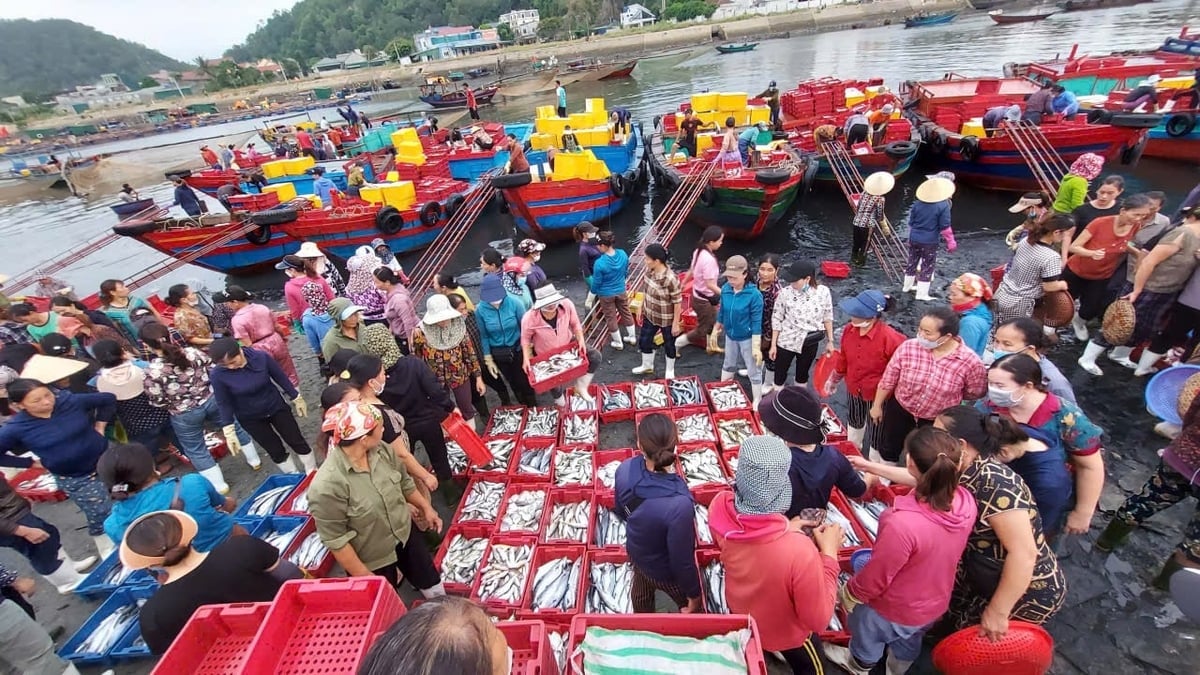 Tiểu thương tấp nập thu mua hải sản tại bến cá Nghi Thủy, phường Cửa Lò, tỉnh Nghệ An sau khi tàu cá cập cảng. Ảnh: Đình Tiệp.