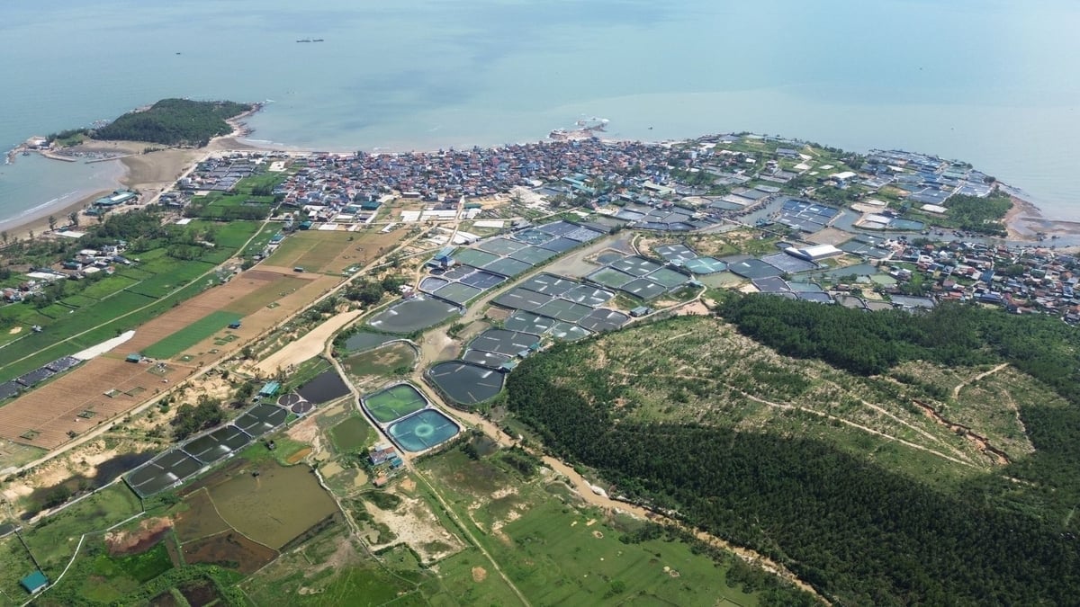 Một khu vực nuôi tôm tại phường Tân Mai, tỉnh Nghệ An. Ảnh: Đình Tiệp.