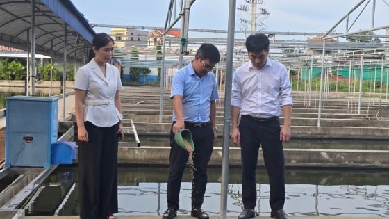 Những hợp tác xã kiểu mới ở Hải Phòng đưa nông, thủy sản xuất ngoại