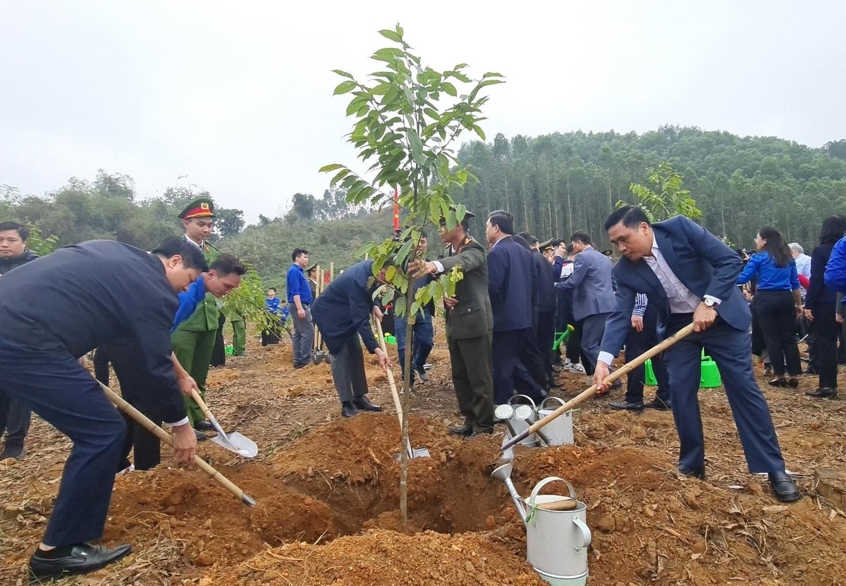 Thứ trưởng Nguyễn Quốc Trị (phải) trồng cây tại Tết trồng cây 2024 ở Tuyên Quang. Ảnh: Bảo Thắng.
