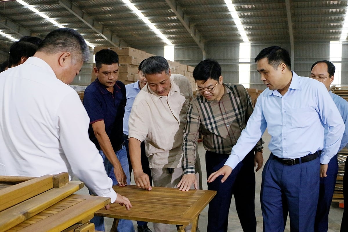 Thứ trưởng Nguyễn Quốc Trị thăm cơ sở chế biến gỗ tại Quảng Trị. Ảnh: Cục LN&KL.