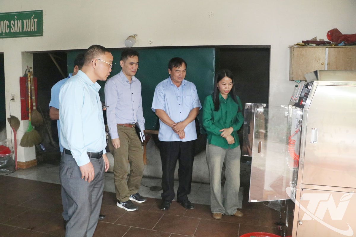 Khuyến công hỗ trợ phát triển sản phẩm chè Thái Nguyên