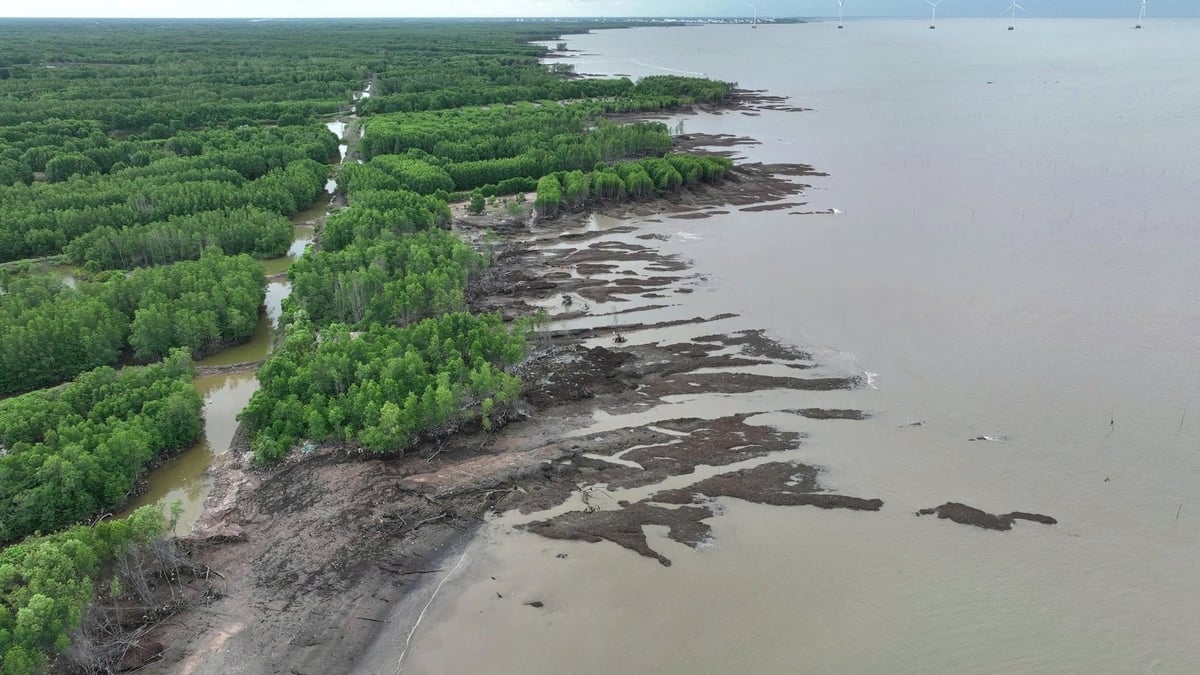 Đoạn bờ biển Đông sạt lở đặc biệt nguy hiểm từ Ấp Hạp - Giá Cao. Ảnh: Trọng Linh.