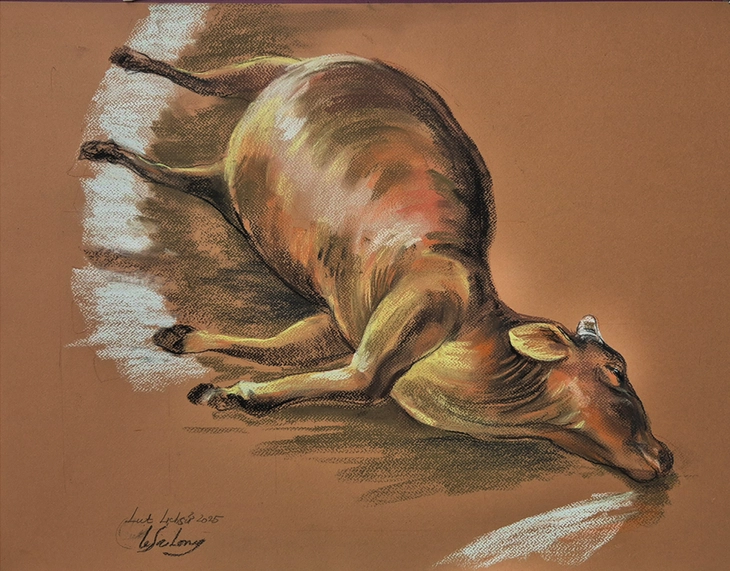 «Я так люблю своих соотечественников» в рисунках художника Ле Са Лонга Lê Sa Long - Ảnh 10.