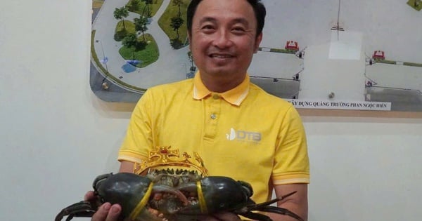 Hé lộ giống cua vừa... đăng quang "vua cua" Cà Mau