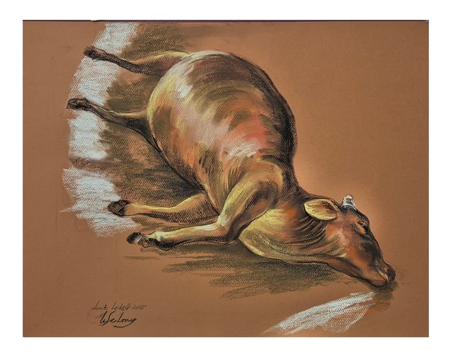 'Thương quá đồng bào tôi', bộ tranh rơi nước mắt của họa sĩ Lê Sa Long - Ảnh 4.