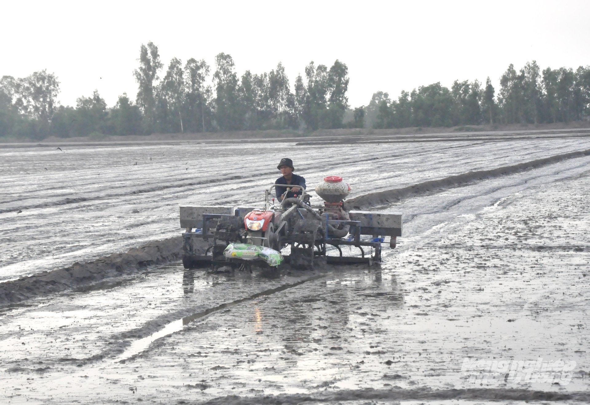 Menyusun kalender tanam padi sepanjang tahun membantu pemerintah daerah mengatur produksi secara proaktif, mencegah penyakit dan kondisi cuaca buruk, serta meningkatkan efisiensi produksi. Foto: Trung Chanh. Xây dựng khung lịch thời vụ xuống giống các vụ lúa trong năm, giúp các địa phương chủ động bố trí sản xuất, phòng chống dịch bệnh, thờ tiết bất lợi, nâng cao hiệu quả sản xuất. Ảnh: Trung Chánh.