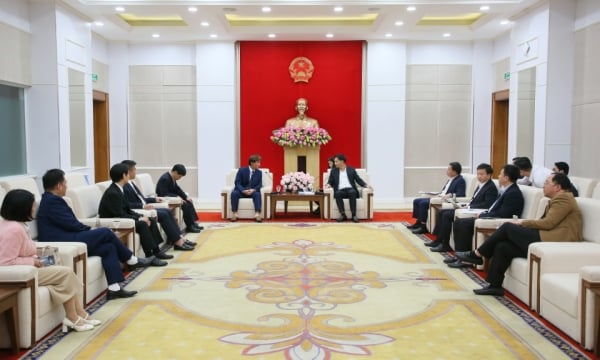 Phó Chủ tịch UBND tỉnh tiếp đại diện Tập đoàn UTT Group Corps