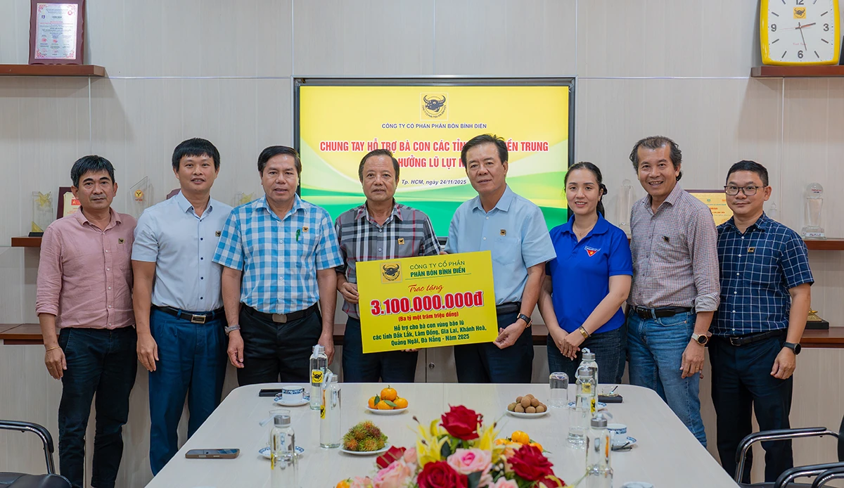 Binh Dien setzt weiterhin ein Soforthilfepaket in Höhe von 3,1 Milliarden VND für die von Überschwemmungen betroffenen Gebiete der südlichen Zentralregion bereit.