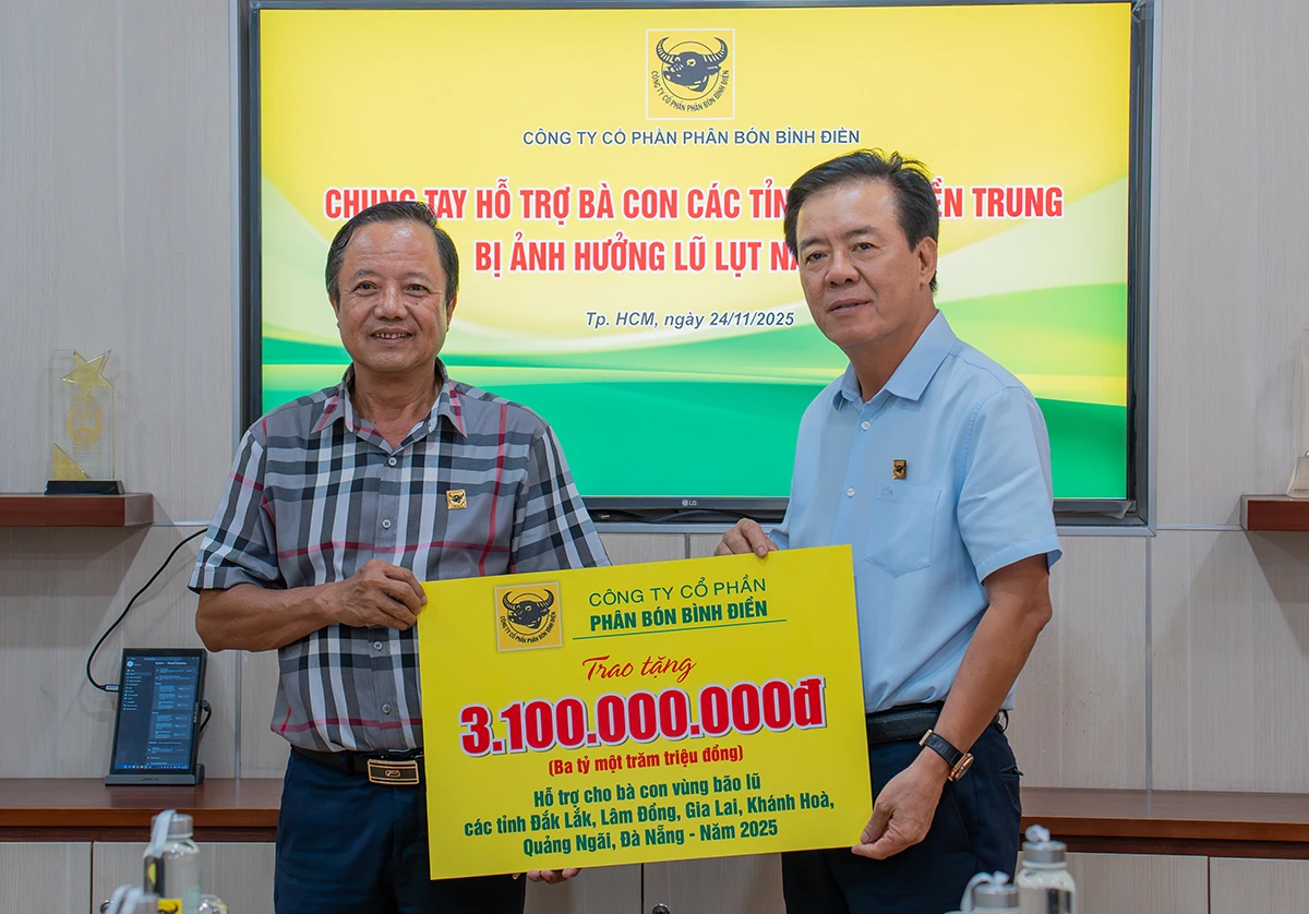 Binh Dien setzt weiterhin ein Soforthilfepaket in Höhe von 3,1 Milliarden VND für die von Überschwemmungen betroffenen Gebiete der südlichen Zentralregion bereit.