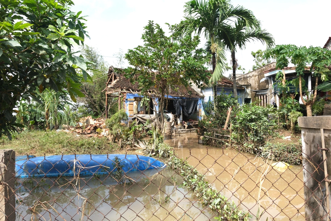 Phú Yên - Ảnh 3.