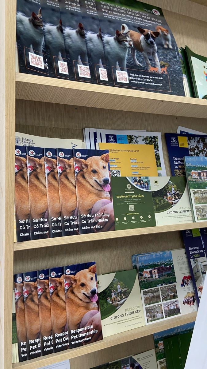 ছবির ক্যাপশন