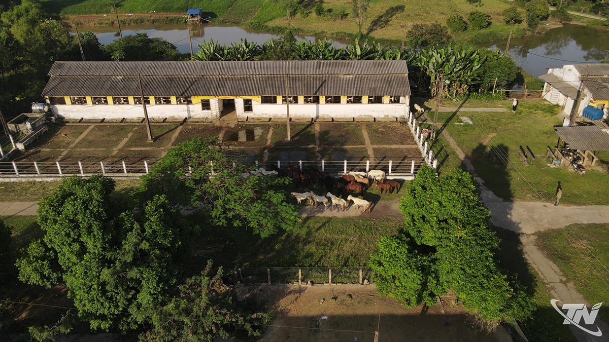 A látogatók itt vidéki turisztikai élményekben vehetnek részt.