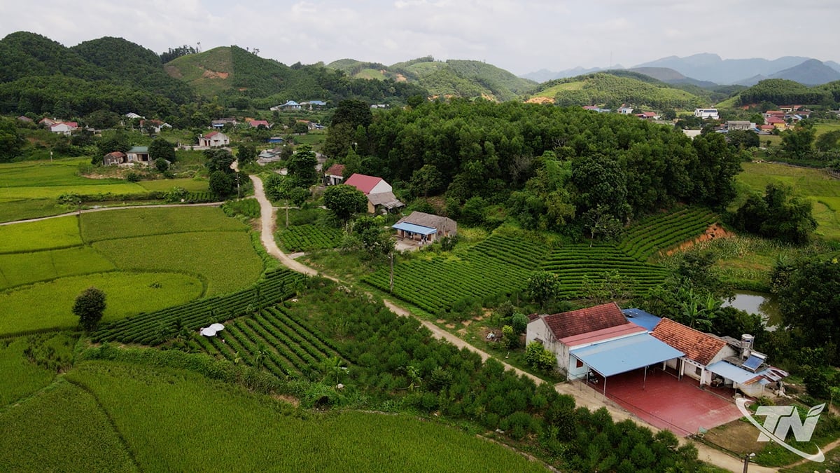 Khám phá vùng đào Bình Minh