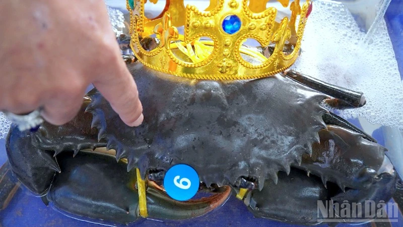 Cua Cà Mau kể chuyện “Hương rừng-Vị biển”