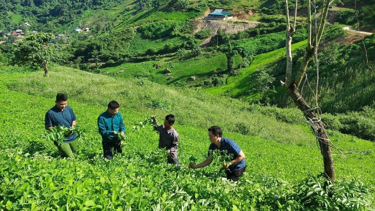 e.baonghean.vn-wp-content-uploads-2024-03-_лидер-юга ...