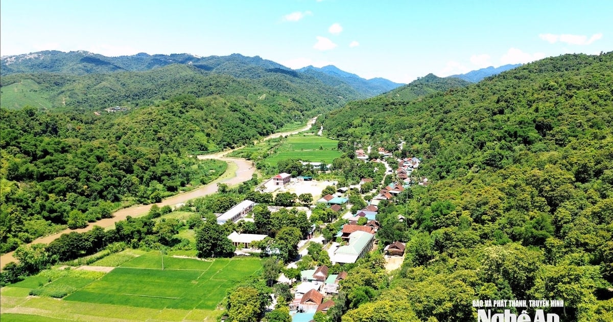 Nghệ An giao hơn 202.000 ha rừng cho 27.339 hộ dân quản lý