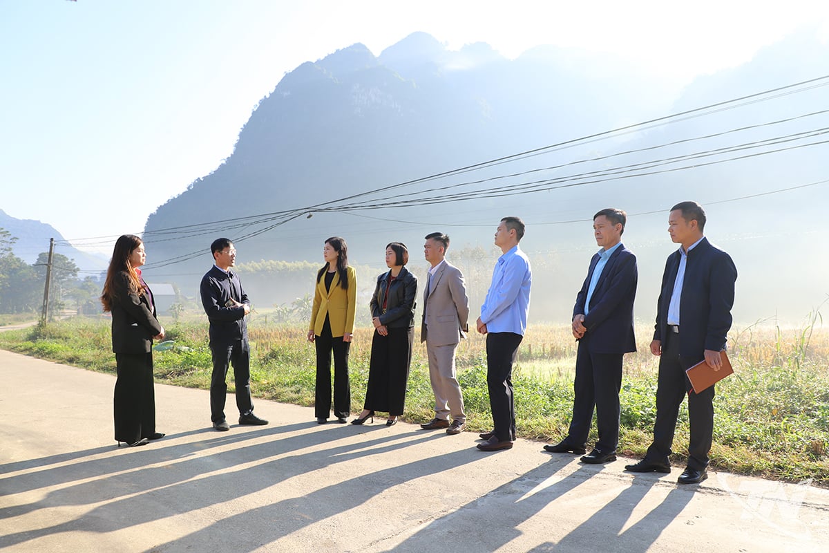 ໜ່ວຍ​ງານ​ສຳ​ຫຼວດ​ຢູ່​ບ້ານ​ເດື່ອ​ຫວາຍ, ​ເມືອງ​ໂຂງ