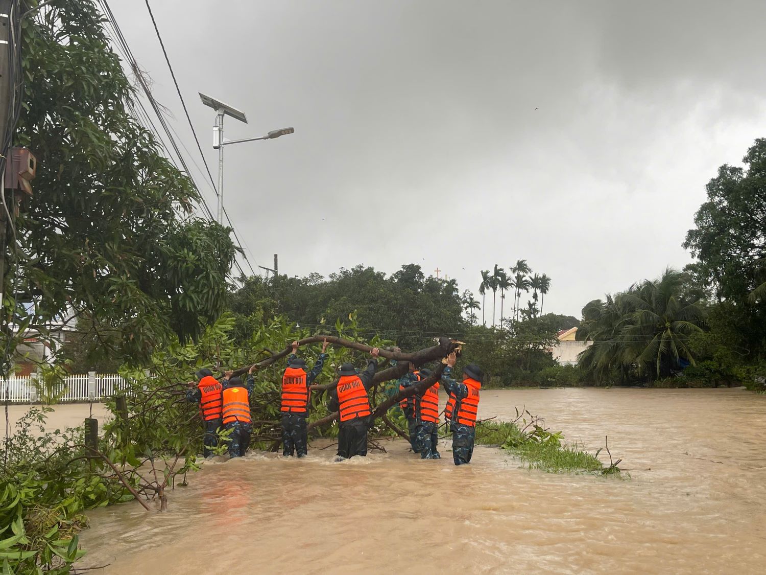 رجمنٹ کے افسر اور سپاہی با نگوئی وارڈ میں گرے ہوئے درختوں کو ٹھیک کر رہے ہیں۔