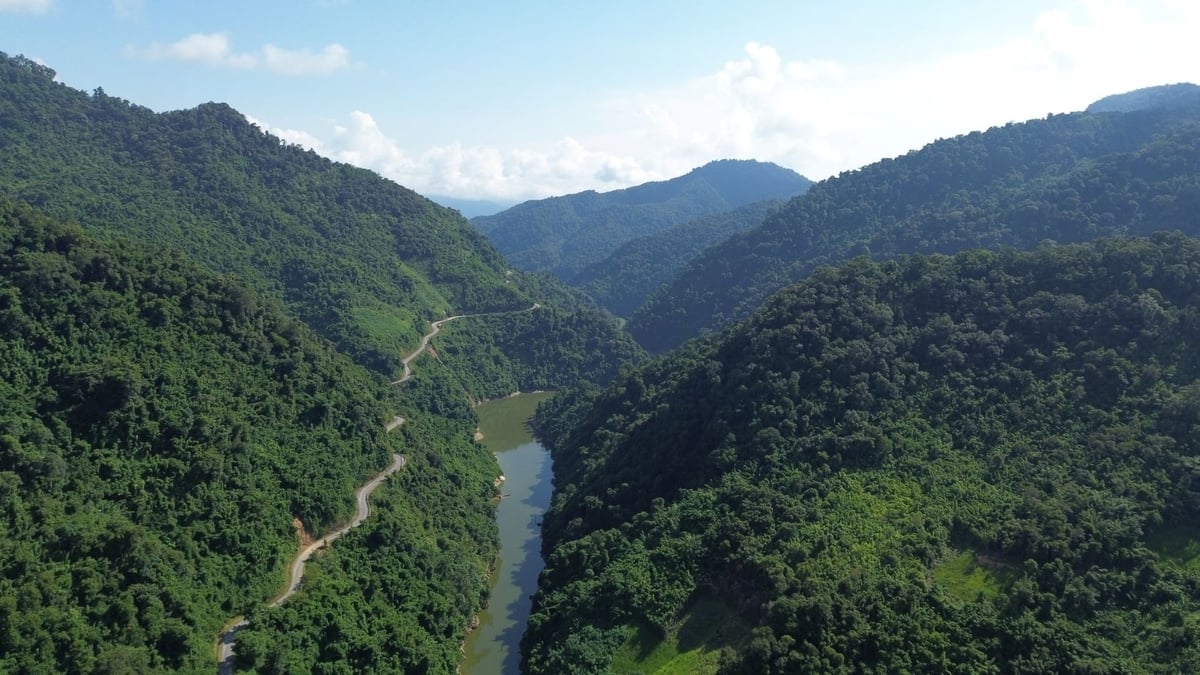 Tỉnh Nghệ An có trên 1 triệu héc ta rừng cần được khai thác giá trị. Ảnh: Đình Tiệp.