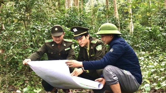 Cơ hội từ Thỏa thuận chi trả giảm phát thải vùng Bắc Trung Bộ