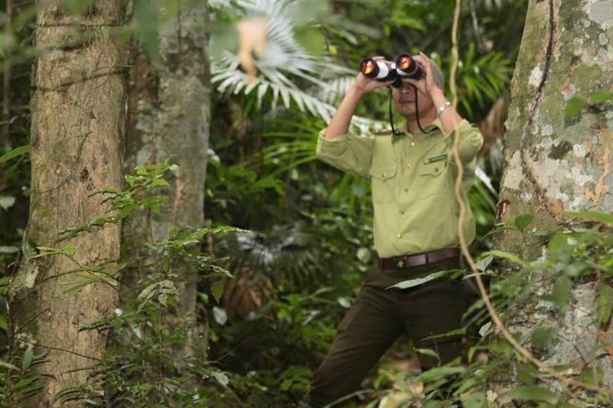 Các khu rừng đặc dụng ở tỉnh Nghệ An hiện được bảo vệ nghiêm ngặt. Ảnh: Phạm Tuân.