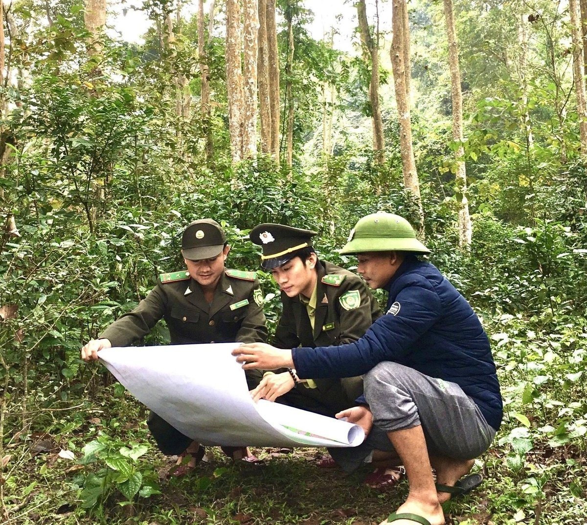 Cán bộ Khu bảo tồn thiên nhiên Pù Hoạt đang kiểm tra tòa độ rừng đơn vị quản lý. Ảnh: Phạm Tuân.