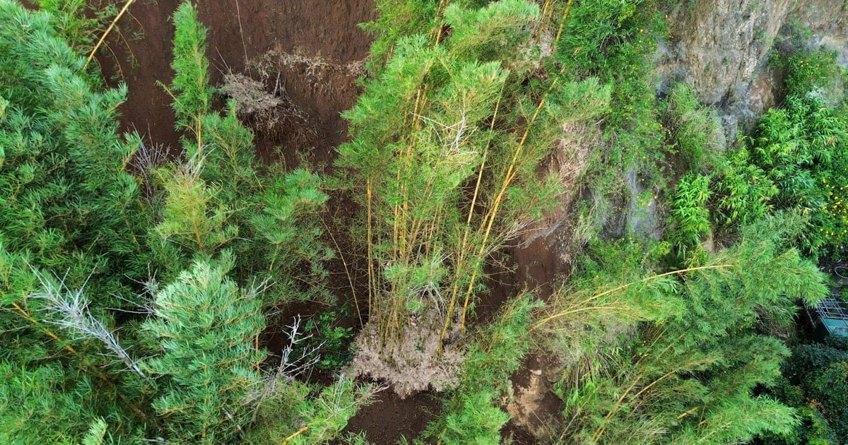 Tiếp tục di dời khẩn cấp người dân ra khỏi khu vực sạt lở ở đồi Trảng Bằng