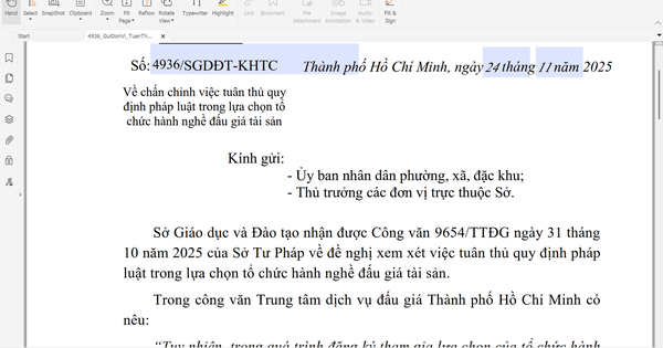 Một số trường học ở TP HCM tổ chức đấu thầu thiếu khách quan, công bằng, nguy cơ dẫn đến thông thầu 