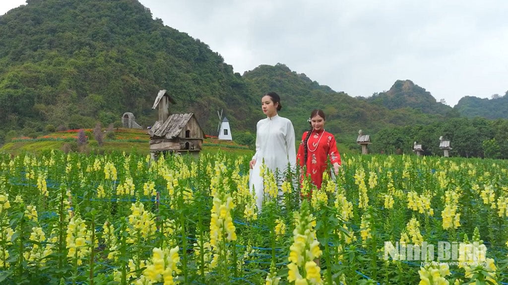 Turiștii vizitează și fac fotografii la Insula Florilor - Zona Ecoturistică Thung Nham.