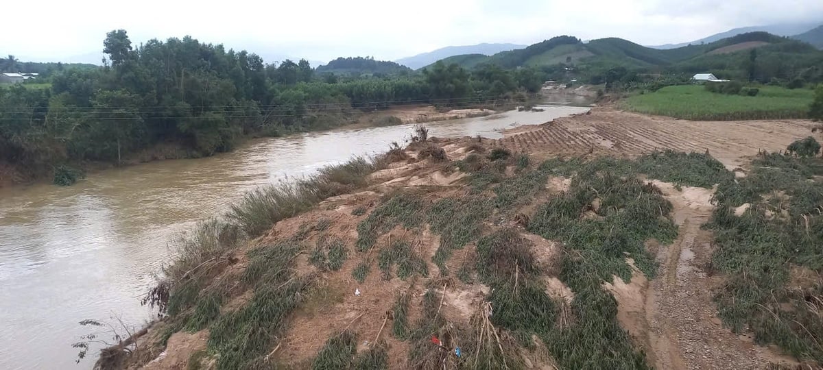 Nivelul apei pe râul Cho din comuna Dien Lam după ce rezervorul Song Cho a reglat apa. Fotografie: Furnizată de Consiliul de Investiții în Irigații și Management al Construcțiilor 7. Mực nước trên sông Chò tại xã Diên Lâm sau khi hồ Sông Chò điều tiết nước. Ảnh: Ban Quản lý Đầu tư và Xây dựng Thủy lợi 7 cung cấp.