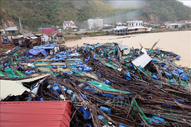 تعليق الصورة