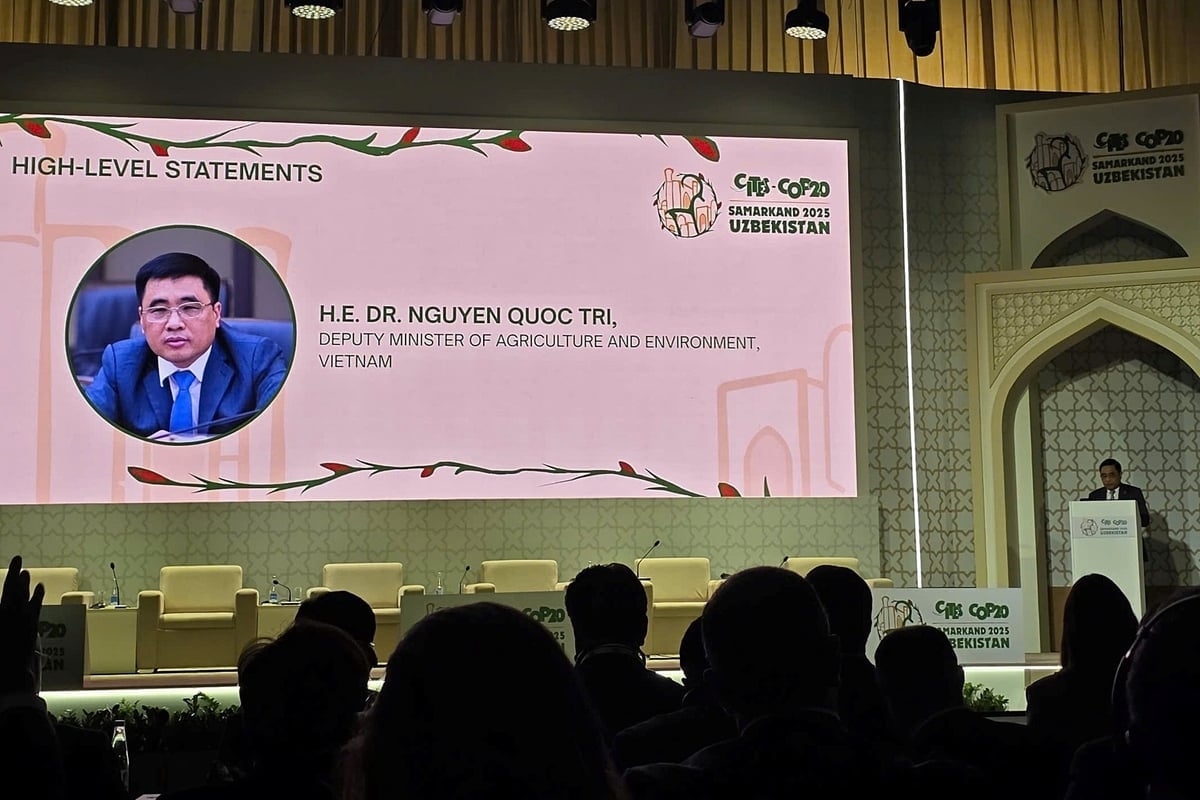 Thứ trưởng Nguyễn Quốc Trị phát biểu tại CoP20. Ảnh: Cục LN&KL.