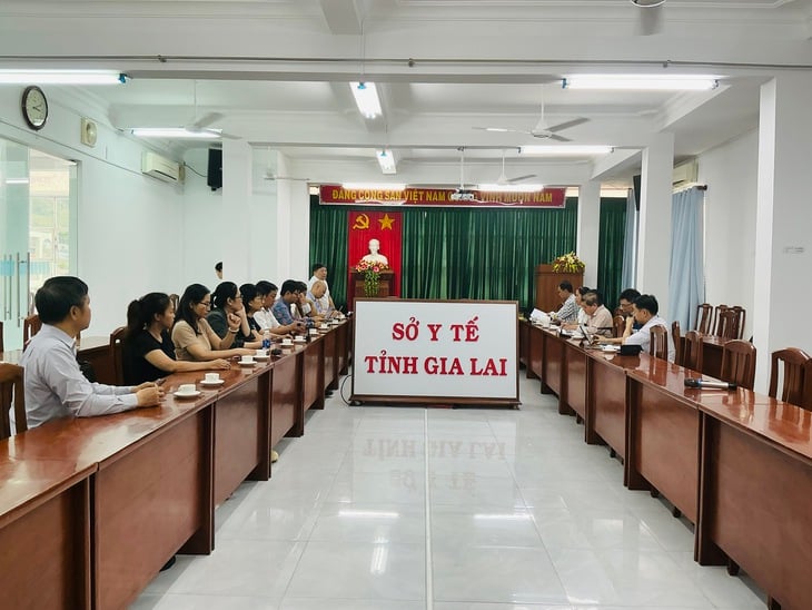 Nguy cơ bùng phát các bệnh truyền nhiễm sau lũ tại tỉnh Gia Lai và Lâm Đồng rất lớn - Ảnh 1.