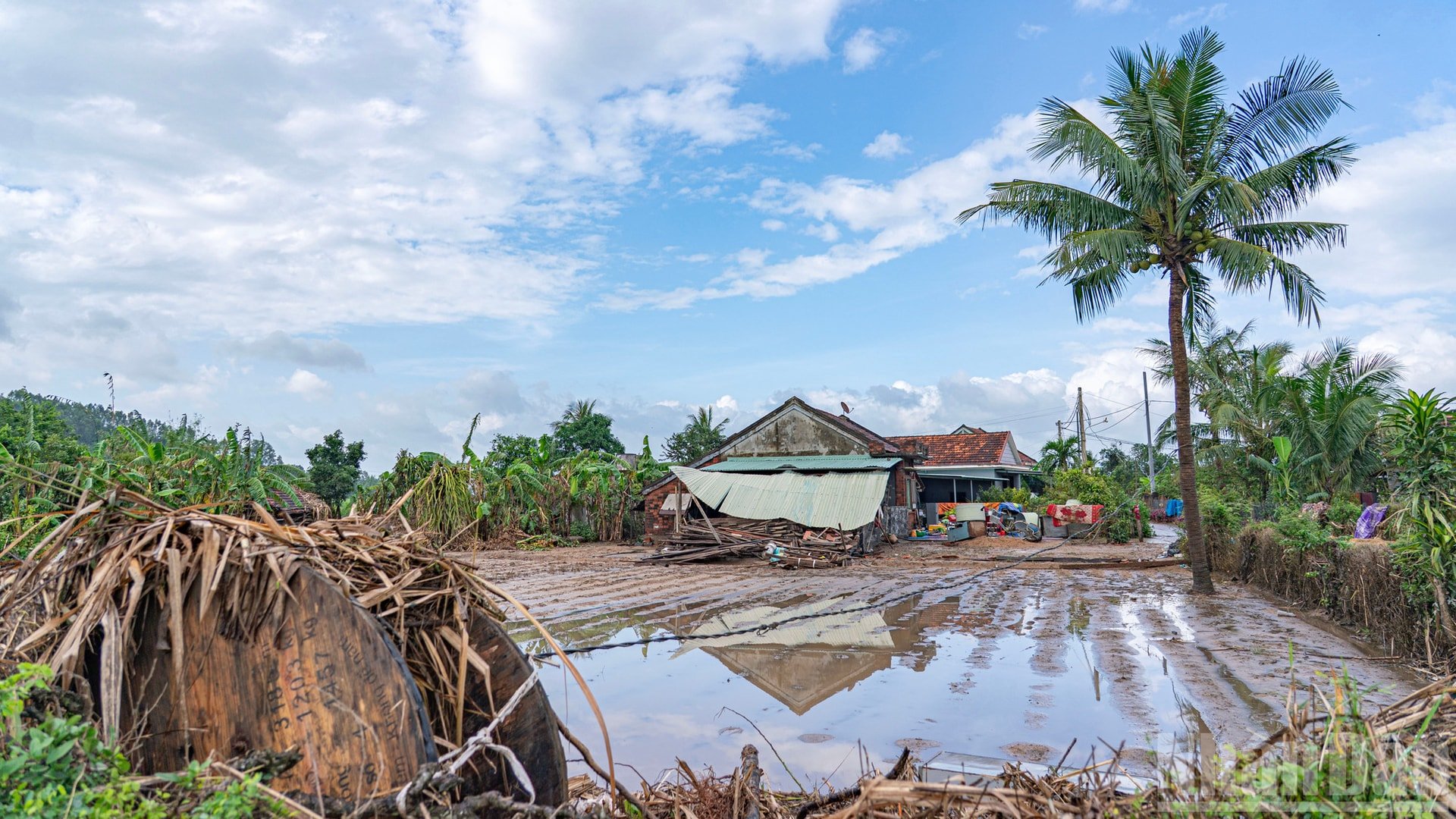في ظهر يوم ٢٤ نوفمبر، توقف المطر، وانقشعت السماء أحيانًا. ظهرت السماء الزرقاء، مما أثار حماس الكثيرين. ndo_br_ss3.jpg