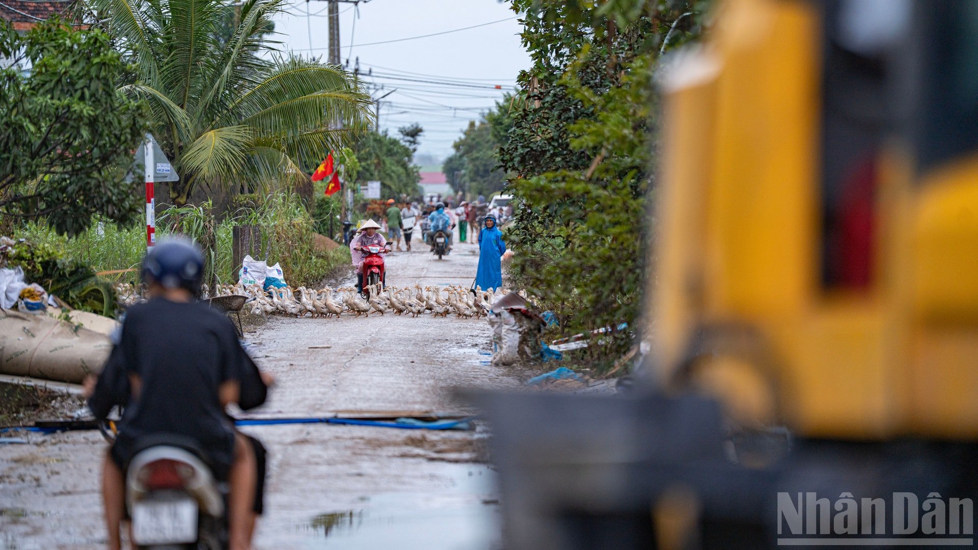 بدأت الحياة تعود إلى منطقة معرضة للفيضانات على طول نهر با ها. ndo_br_ss16.jpg