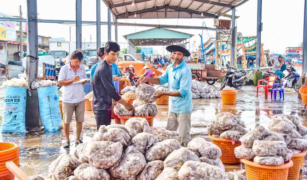 فعالیت‌های بهره‌برداری از غذاهای دریایی در بندر ماهیگیری دین آن به ترویج تجاری‌سازی محصولات دریایی در منطقه اقتصادی دین آن کمک می‌کند.