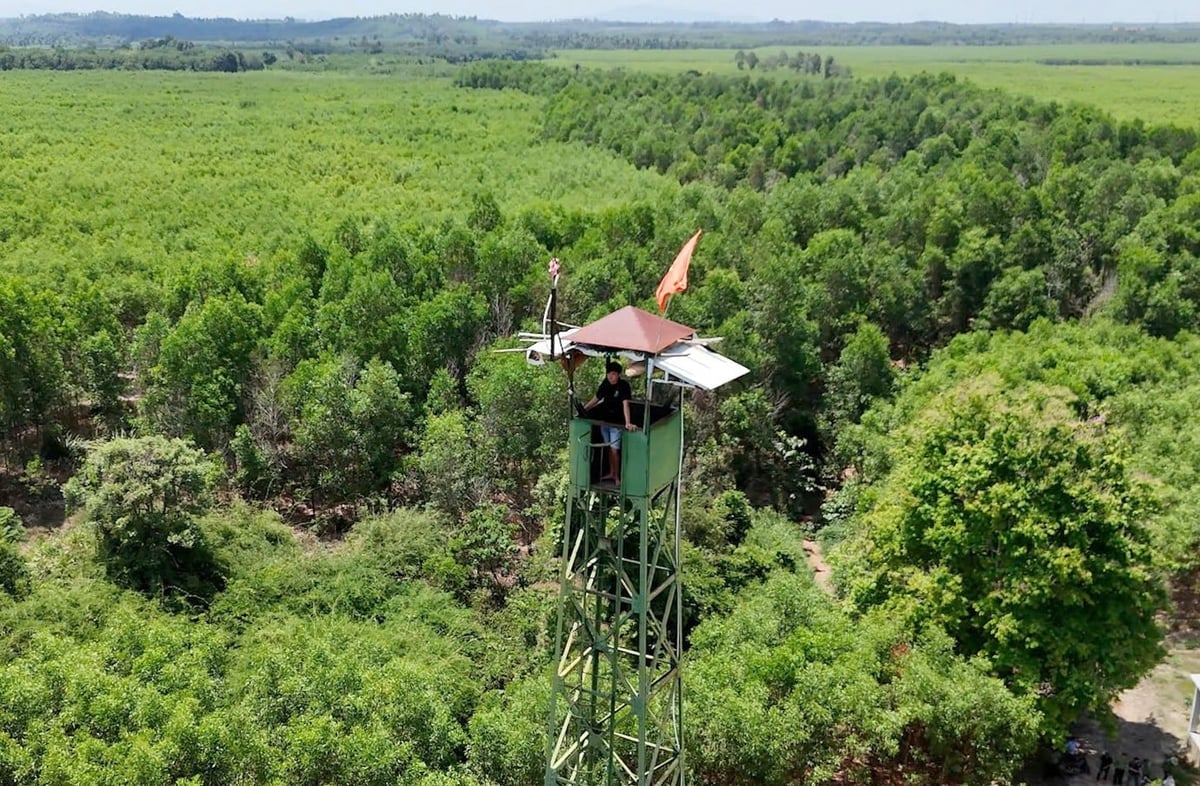 Một khu rừng thuộc sự quản lý của Ban Quản lý rừng phòng hộ Xuân Lộc. Ảnh: Nguyễn Thủy.