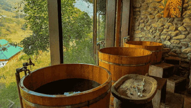 Biến đa dạng sinh học thành liệu pháp chữa lành tự nhiên- Ảnh 1.