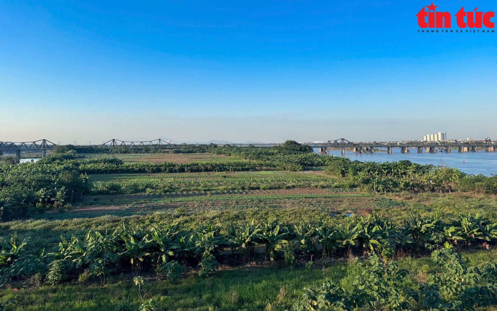 चित्र परिचय