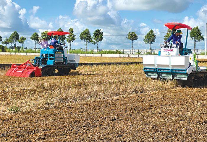 Sürdürülebilir üretim için pirinç toprak sağlığının iyileştirilmesi