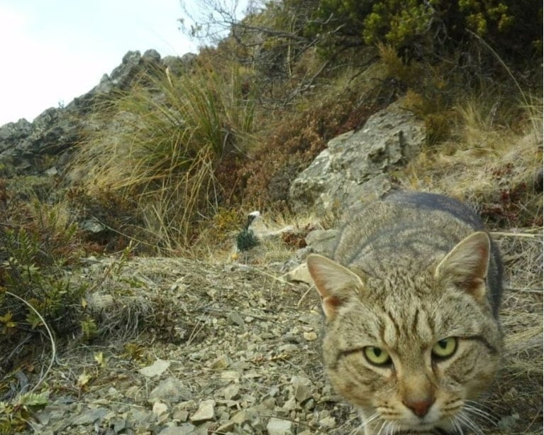 Captura de pantalla 2025-11-24 232508