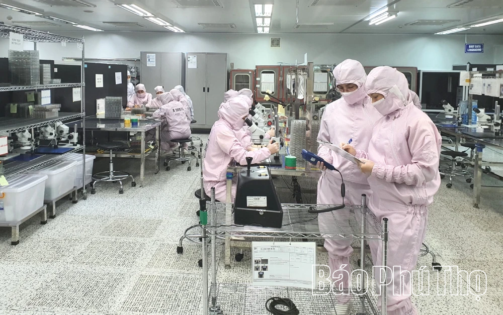 Företag integrerar proaktivt internationellt och deltar i globala värdekedjor.