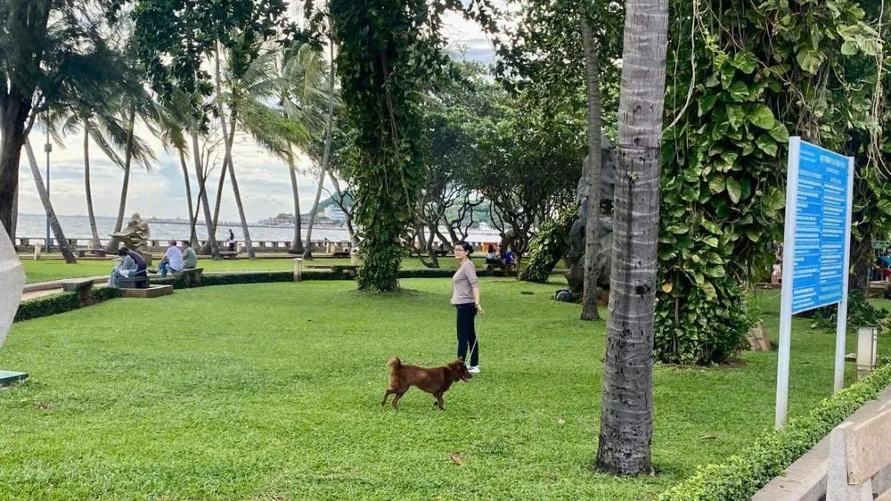 HCMC: Majitelé psů a koček jsou povinni nahlásit to místním úřadům