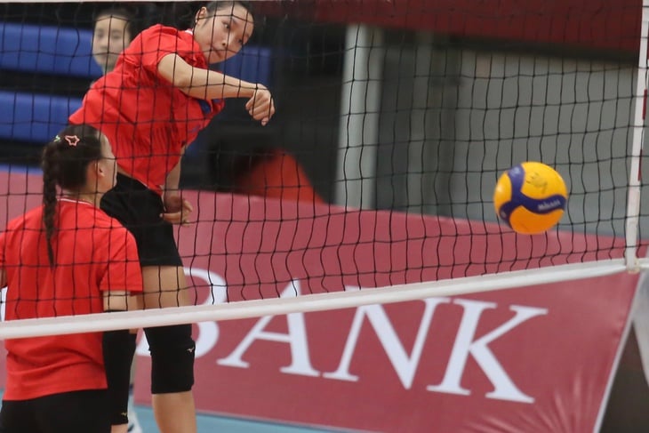 Ngắm các chân dài bóng chuyền nữ Việt Nam tập luyện hăng say cho SEA Games - Ảnh 11.